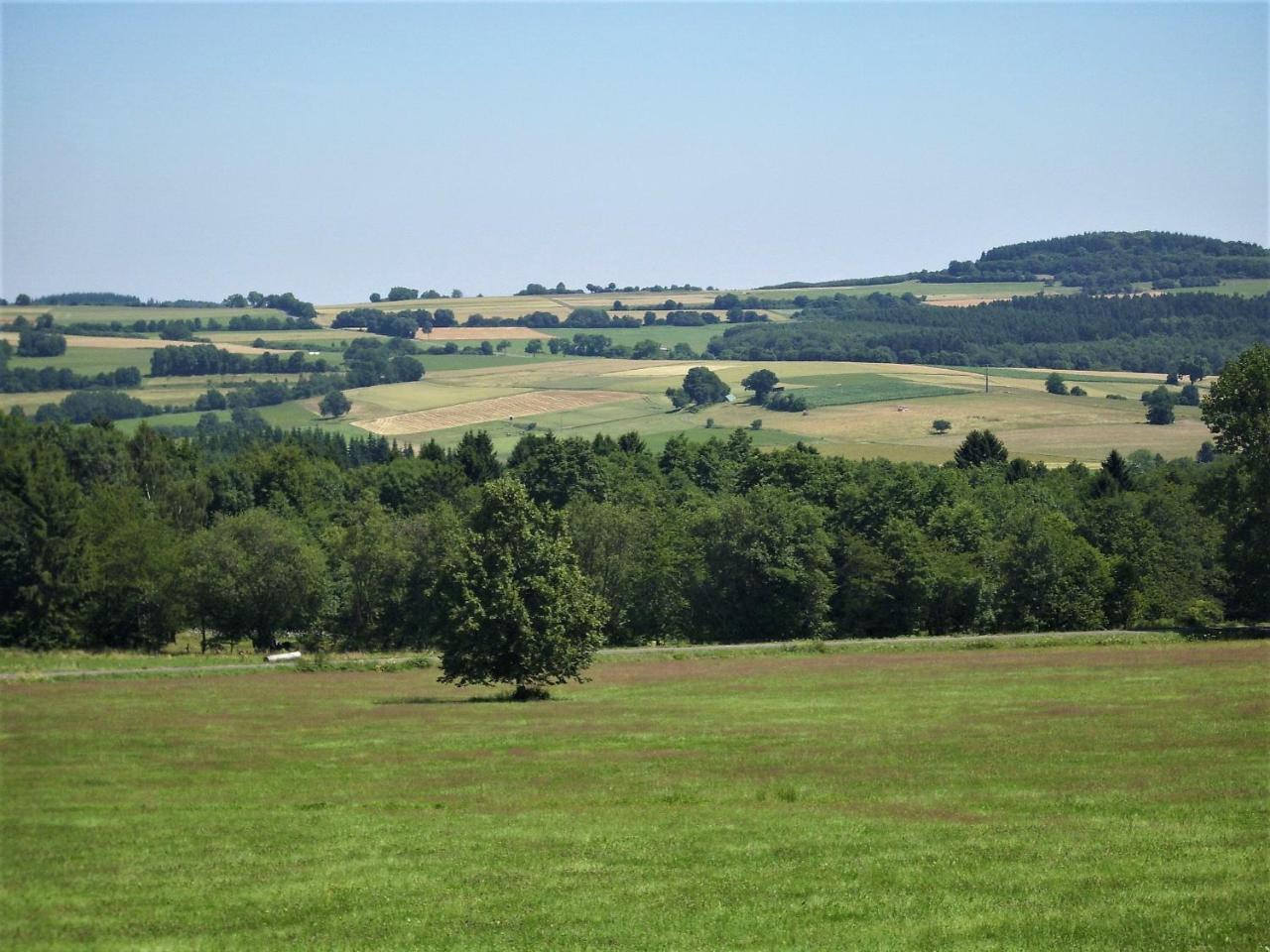 Caecilienhof Daire Birstein Dış mekan fotoğraf