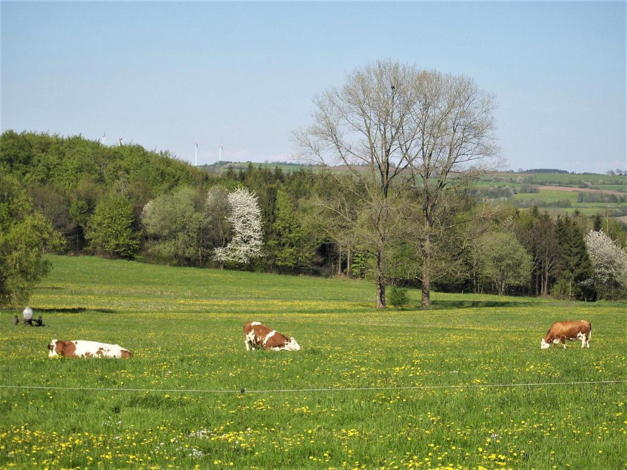 Caecilienhof Daire Birstein Dış mekan fotoğraf